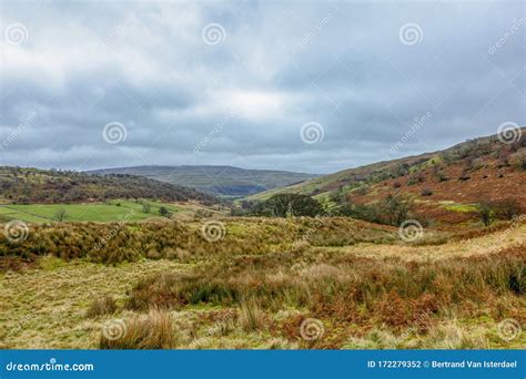 A Scenic View Of A Mountain Valley With Grassy Green Slope Bush And