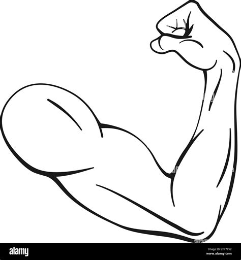 Fuerte Músculo Del Brazo Del Bíceps Para La Fuerza Y El Concepto De La