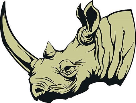 Cartoon Of Rhino Head Illustrations Royalty Free Vector Graphics