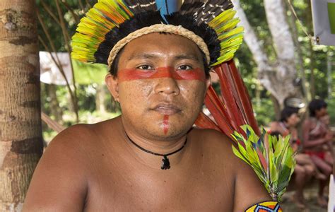 Le Peuple Yanomami A Lancé Une Campagne Mondiale Pour Expulser 20 000