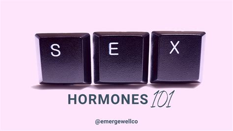 Womens Hormones 101 Part 2 Lets Talk About Sex Hormones