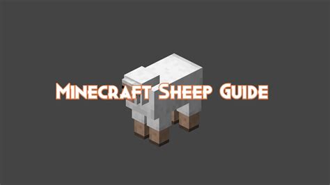 Minecraft Sheep Guide Drops Behavior And Attacks Pillar Of Gaming
