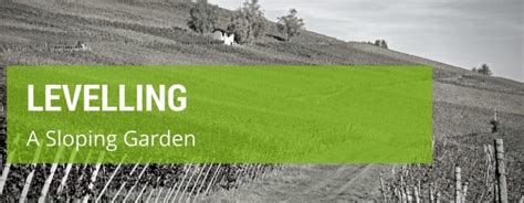 Seeding requires you to toss the seeds across the surface and adding a small amount of topsoil. Levelling A Sloping Garden: How & Why You Should Level A ...