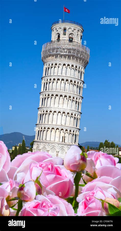 Italy Pisa The Leaning Tower Of Pisa Stock Photo Alamy