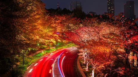 1920x1080 Japan Tokyo Roads Autumn Trees Night Laptop Full Hd 1080p Hd
