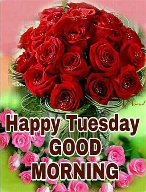 Pink And Red Rose Happy Tuesday Good Morning Quote Pictures Photos And