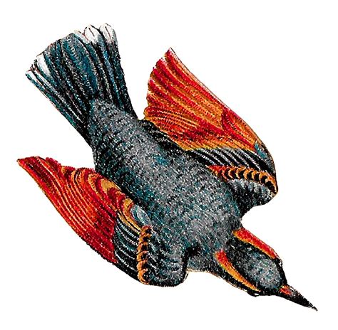 Antique Images Flying Birds Drawings Blue Jay Artwork Animal Download