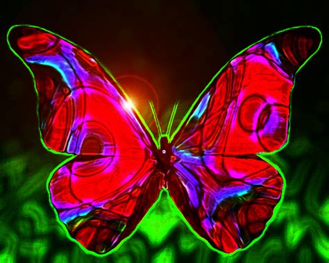 Funny Image Collection Butterfly Wallpaper For Home