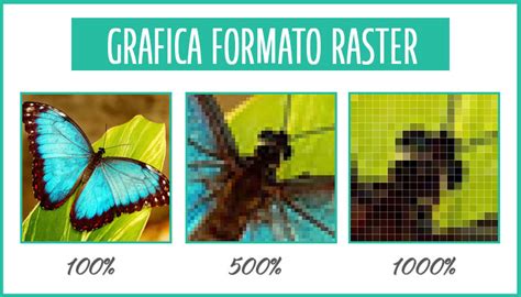 Grafica Raster O Vettoriale Visualaris