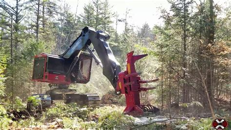 TimberPro TL745D Feller Buncher Cutting In New Hampshire YouTube