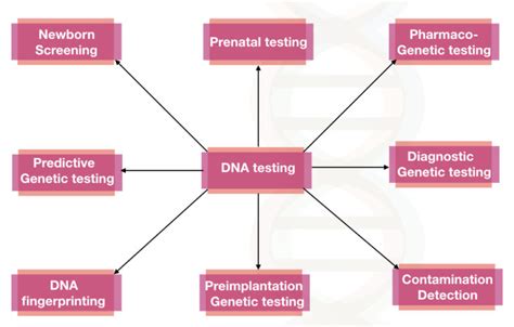 How Is Genetic Testing Done Explained