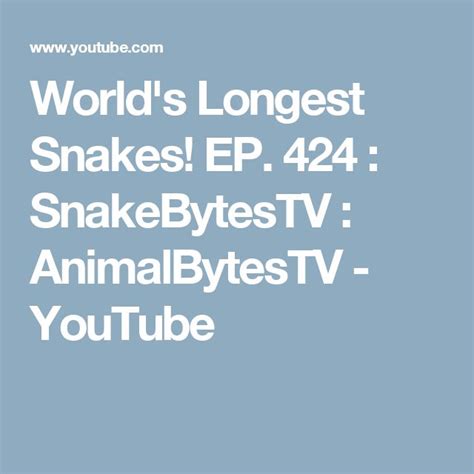Worlds Longest Snakes Ep 424 Snakebytestv Animalbytestv