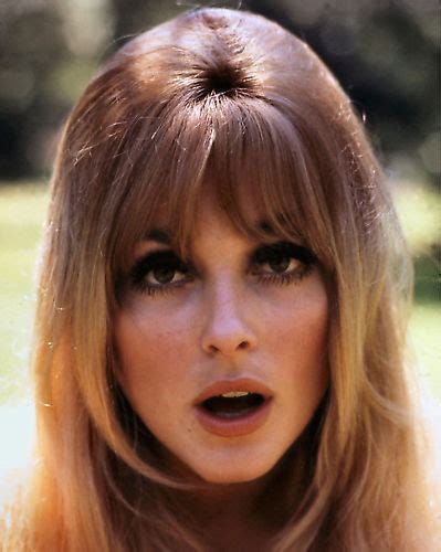 The Sensational Sharon Tate Blog Actress Joan Collins Tells Of Sharon S Wedding To Roman A