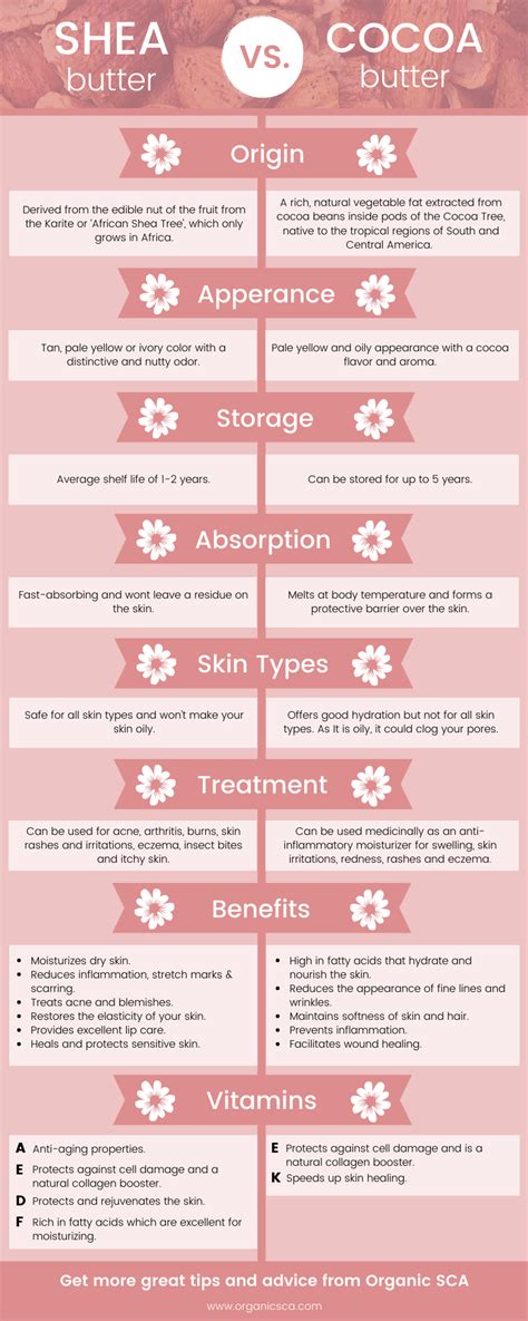 Skincare 101 Shea Butter Vs Cocoa Butter The Differences Explained Infographic Shea Butter