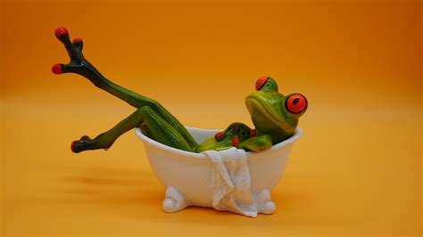 Frog Figure Cute Free Photo On Pixabay Pixabay