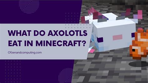 What Do Axolotls Eat In Minecraft Detailed Guide 2023