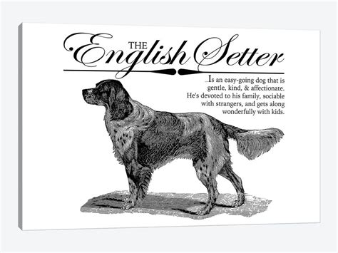 Vintage English Setter Storybook Sty Canvas Artwork Traci Anderson