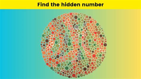 Only Someone With X Ray Vision Can Find The Number Hidden Among The