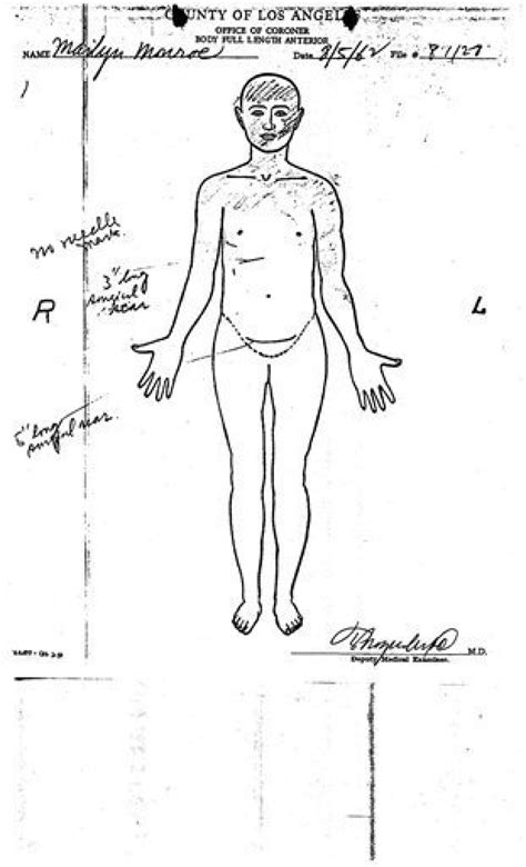 Questions linger 50 years after Monroe's death - The San Diego Union