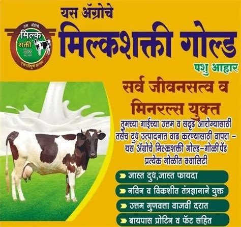 Cattle Feed In Solapur पशु आहार सोलापुर Maharashtra Get Latest