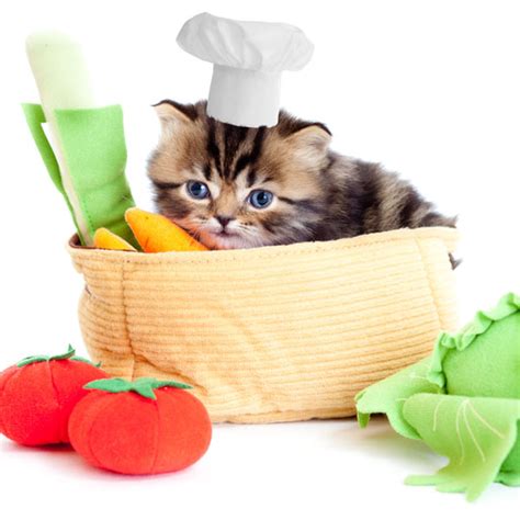 Yes, dogs can eat asparagus. Can Cats Eat Artichokes or Asparagus? - Catster