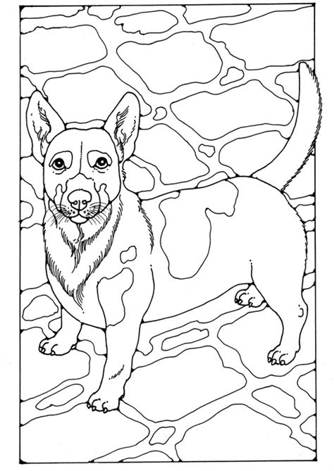 Coloriage Jack Russel  Coloriages Gratuits à Imprimer  Dessin 28213