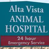 24 Hour Emergency Animal Clinic Near Me Photos