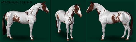My Sims 3 Blog Horse Markings By Eldervinefields