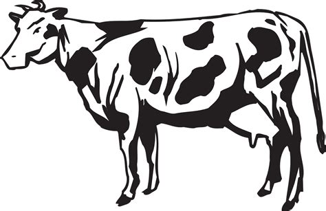 Cow Livestock Cattle · Free Vector Graphic On Pixabay