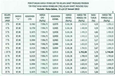 Salah satu jenis jeruk yang sedang populer saat ini adalah jeruk sunkist. Satu Pekan Kedepan Harga TBS Sawit di Riau Naik