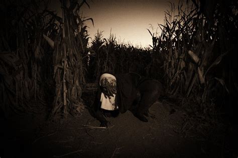 This Scary Haunted Corn Maze In Colorado Is Fun And Terrifying