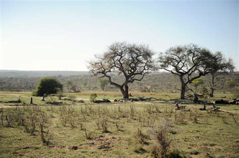 South African Safari Wedding With Elephants Popsugar Love And Sex Photo 11