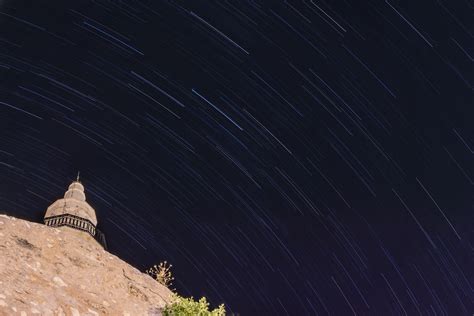 Star Trails Over The Trees At Night Startrails 4k Hd Wallpaper