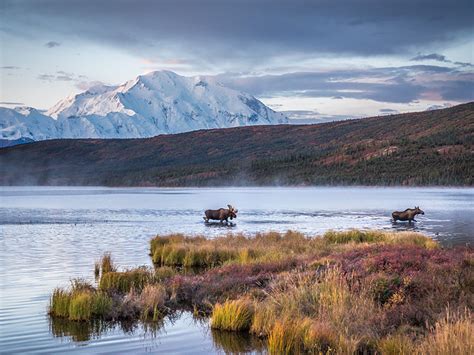 In alaska they say 'alaska is the way america was' and the best way to witness this is with an epic alaskan road trip. Alaska Driving Tours | Self Drive Road Trips in Alaska