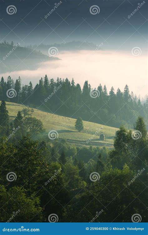 Scenic Summer Landscape Stunning Nature Scenery Ukraine Stock Photo
