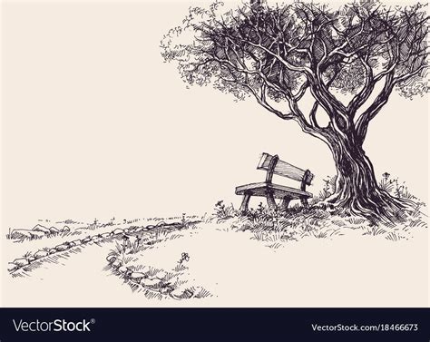 Park Sketch A Wooden Bench Under The Tree Download A Free Preview Or