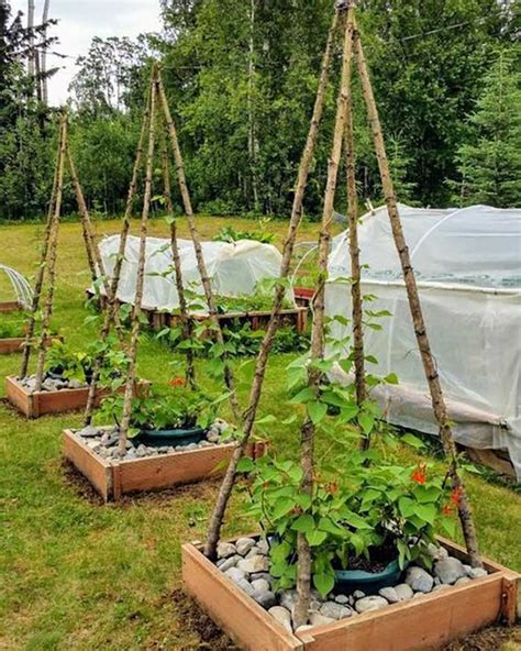 19 Successful Diy Trellis Ideas For Vegetables And Fruits