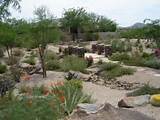 Pictures of Arizona Rocks For Landscaping