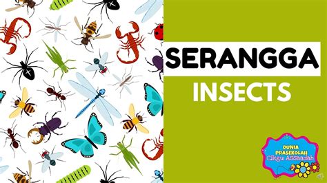 Tema Serangga Prasekolah Insects Youtube