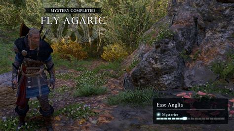 Fly Agaric In East Anglia Walkthrough For Assassin S Creed Valhalla