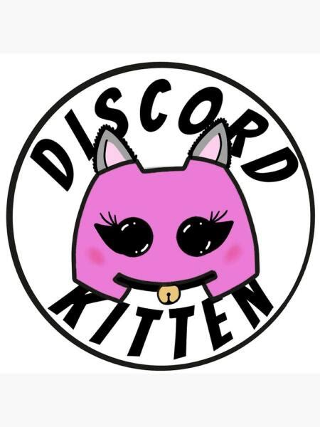 What Is A Discord Kitten Heres All You Need To Know