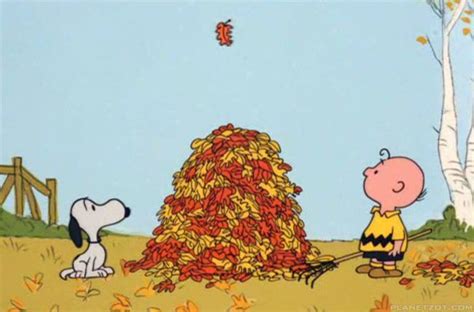 Charlie Brown And Snoopy Raking Leaves On Its The Great Pumpkin