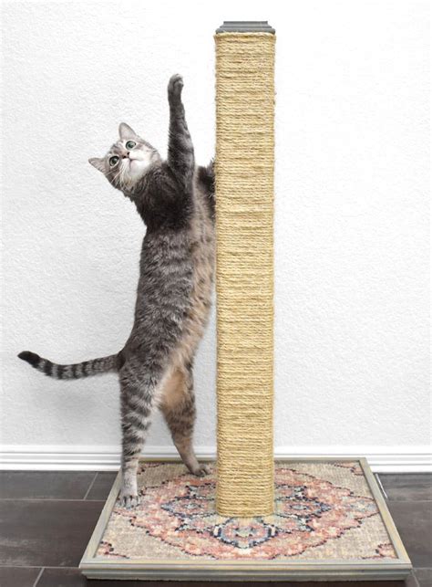 Diy Cat Scratching Post Cheap Kitty Scratcher Dreamalittlebigger 32 ⋆