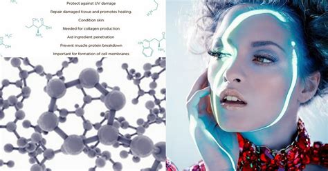 Dermasphere An Ode To Amino Acids The Unsung Heroes Deserving A