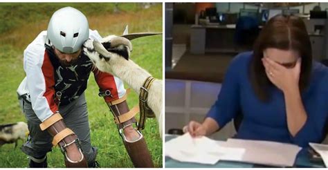 News Anchor Loses It During A Report On A Man Living As A Goat Elite