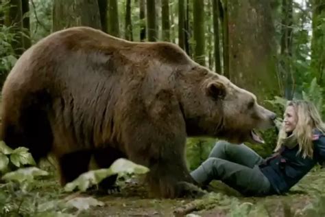 Top Bear Horror Movies Like The Revenant Cinesnipe