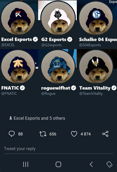 Whats Up With The Meme Where A Dog Wears A Esports Organisations Merch Its Peoples Twitter