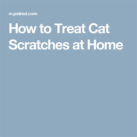 How To Treat Cat Scratches At Home Dog Wound Wounds Cat Scratching