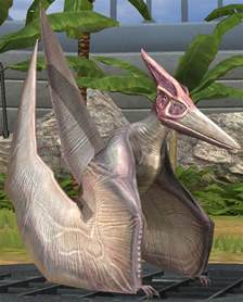 Pteranodonjw Tg Jurassic Park Wiki Fandom
