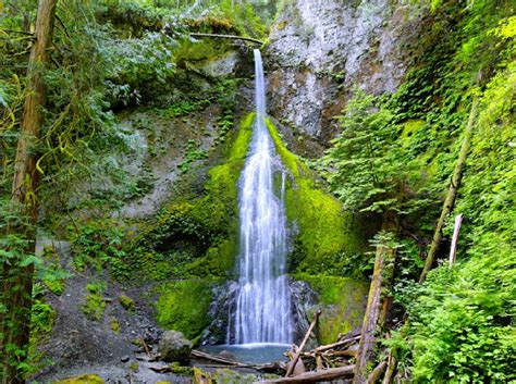 12 Top Rated Hiking Trails In Olympic National Park